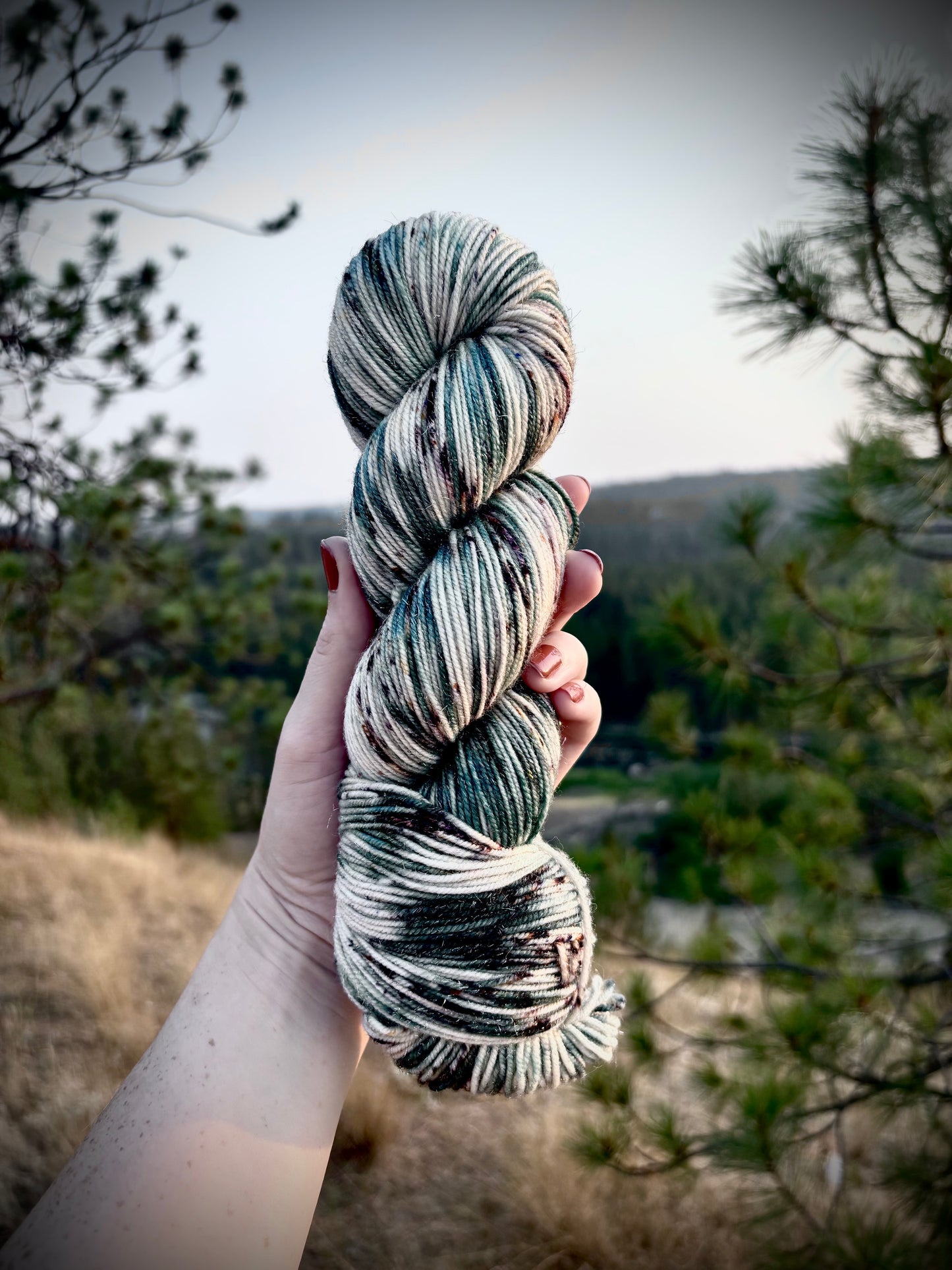 Twilight in the Time Capsule ~ In Stock